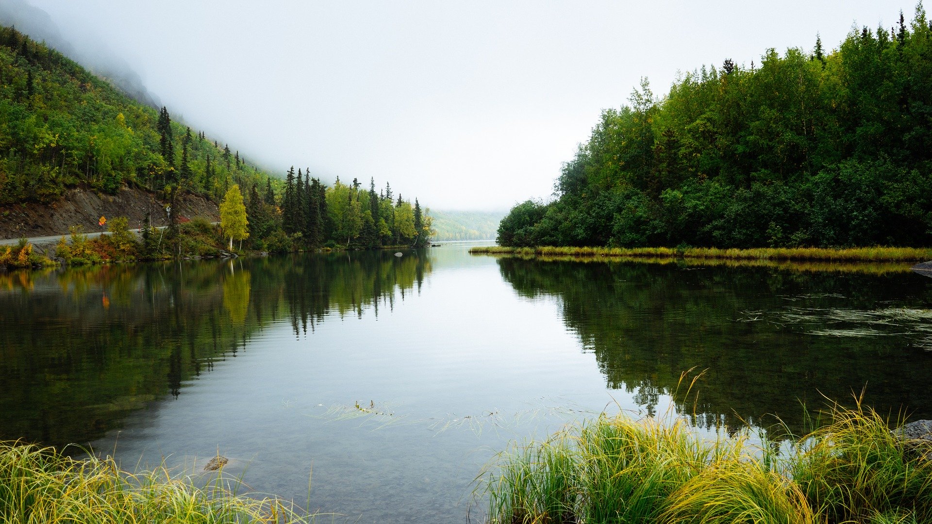 ecological consultants north west