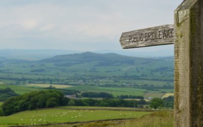 Preliminary Ecological Appraisal Phase 1 Habitat Survey