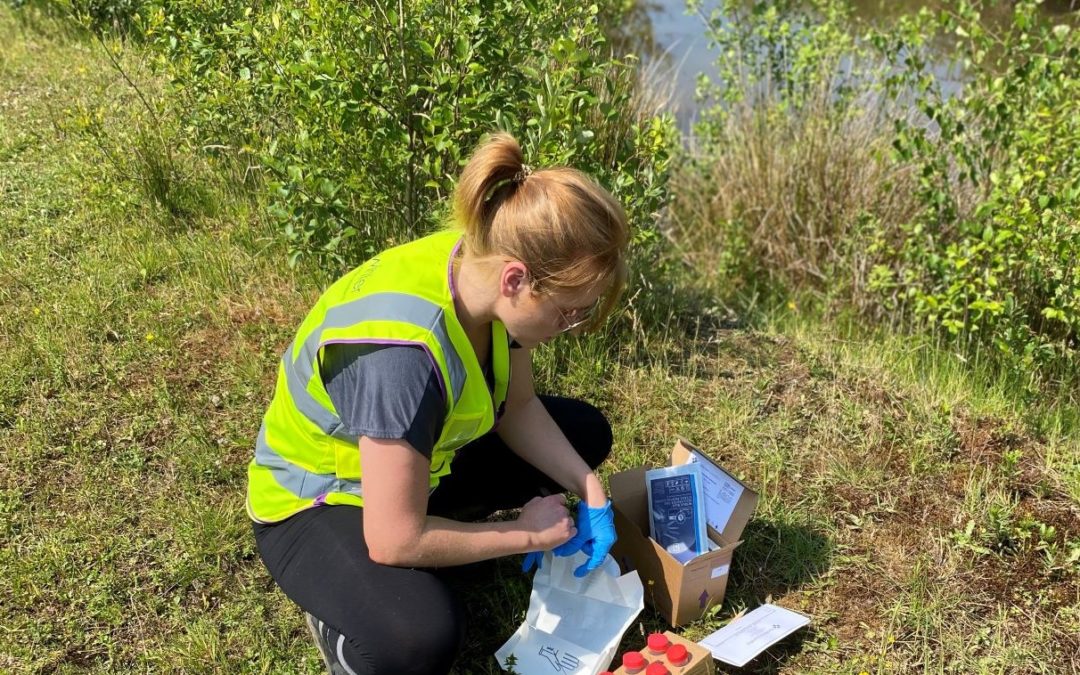 Great Crested Newt eDNA Survey