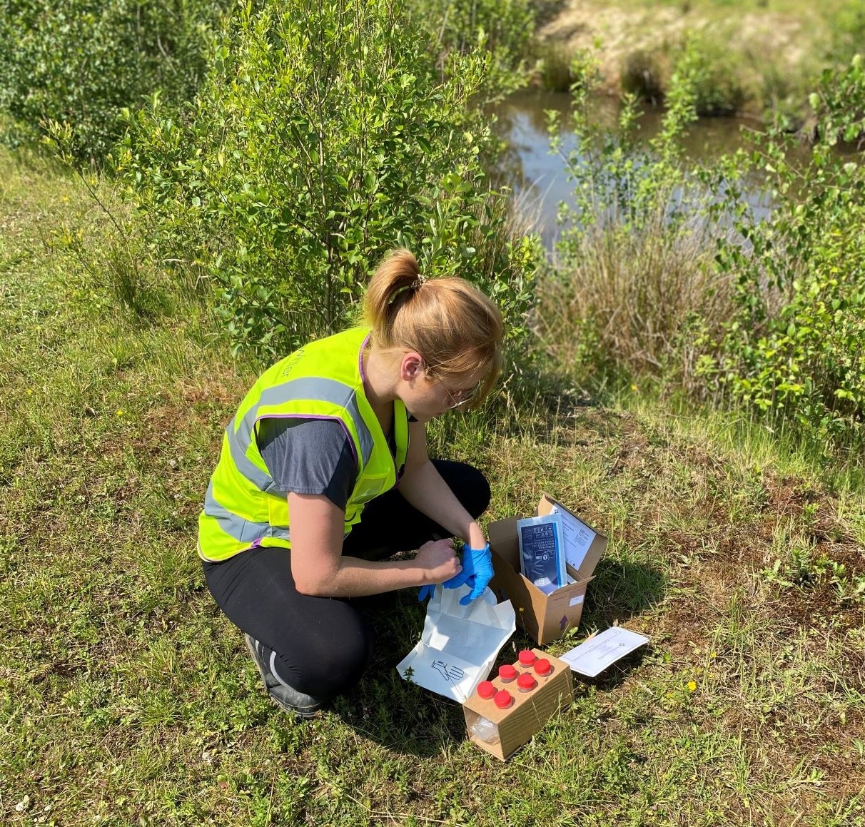 great crested newt edna survey