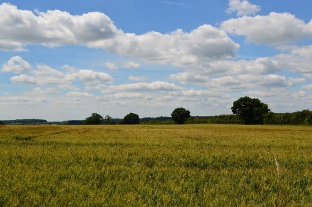 biodiversity credits