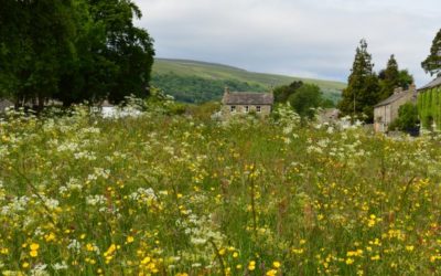 Biodiversity Net Gain to Influence Landscape Design