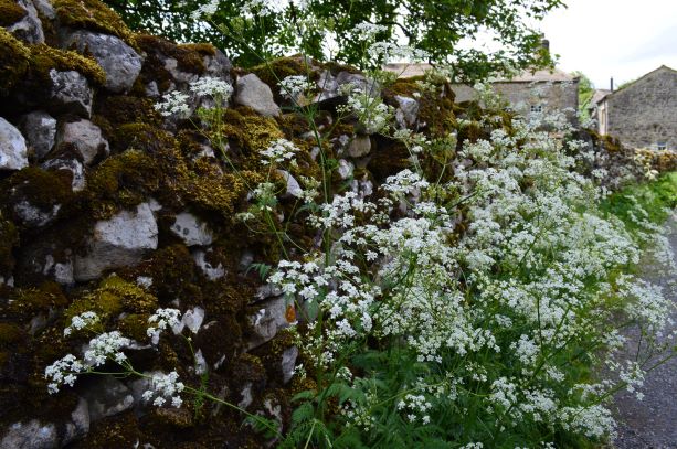 Landscape architects scotland