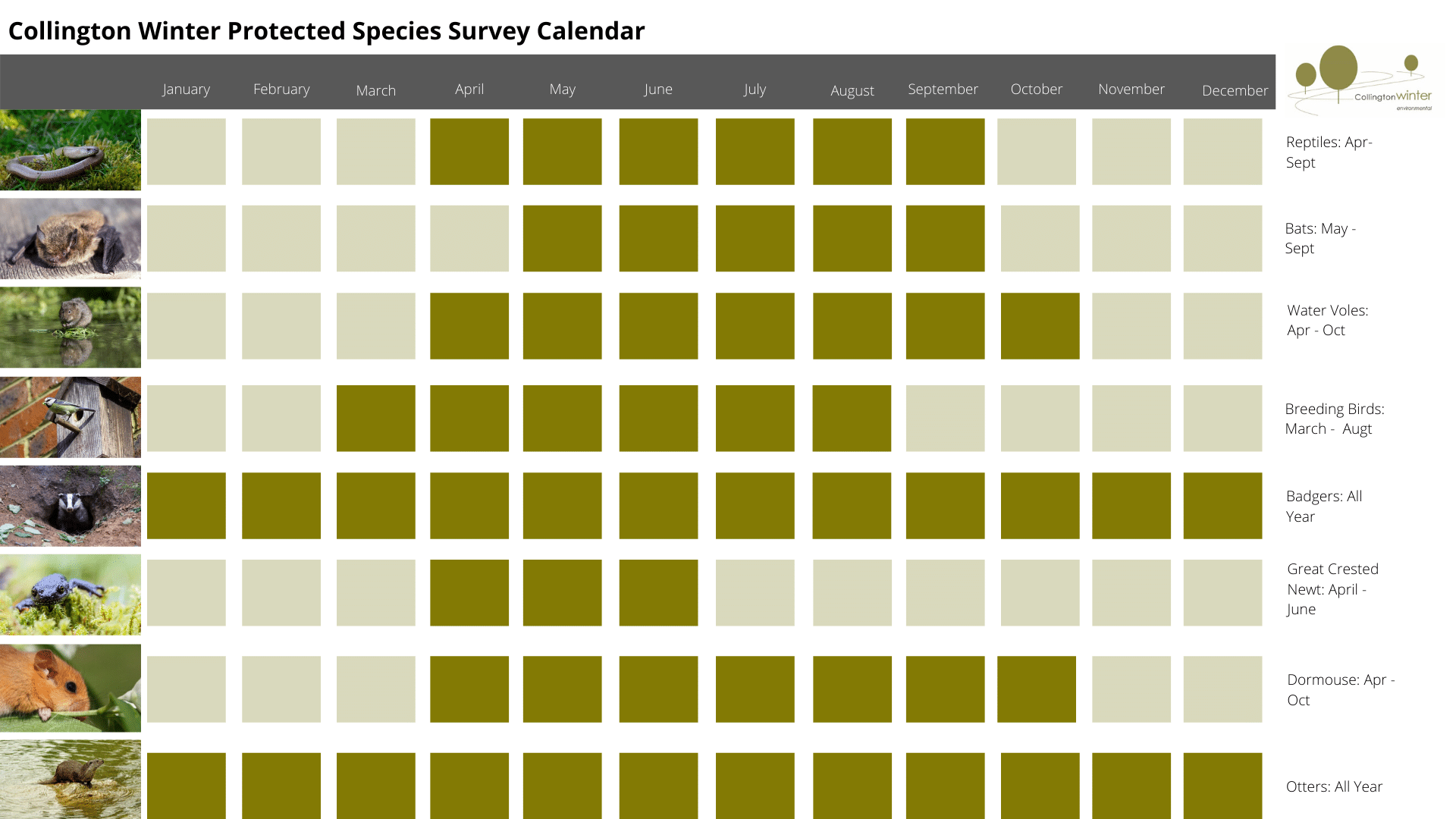 Preotected Species Survey Calendar