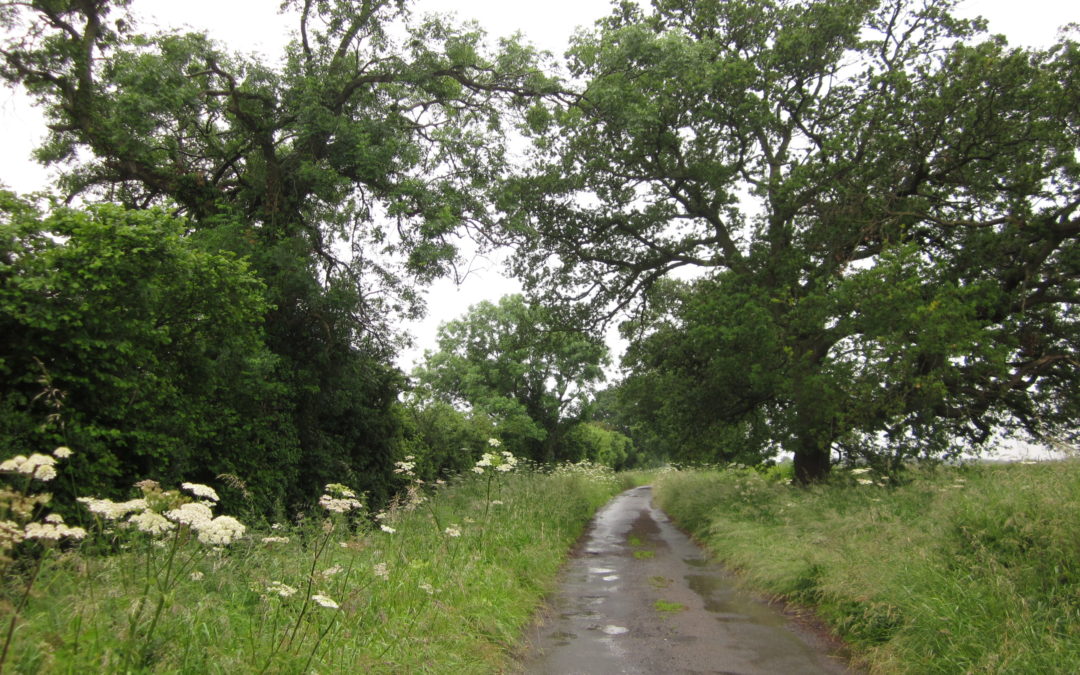 Landscape and Visual Impact Assessment (LVIA)