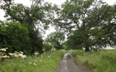 Landscape and Visual Impact Assessment (LVIA)