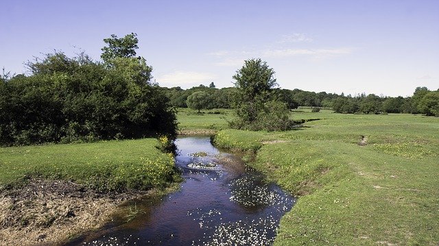 hampshire ecological services