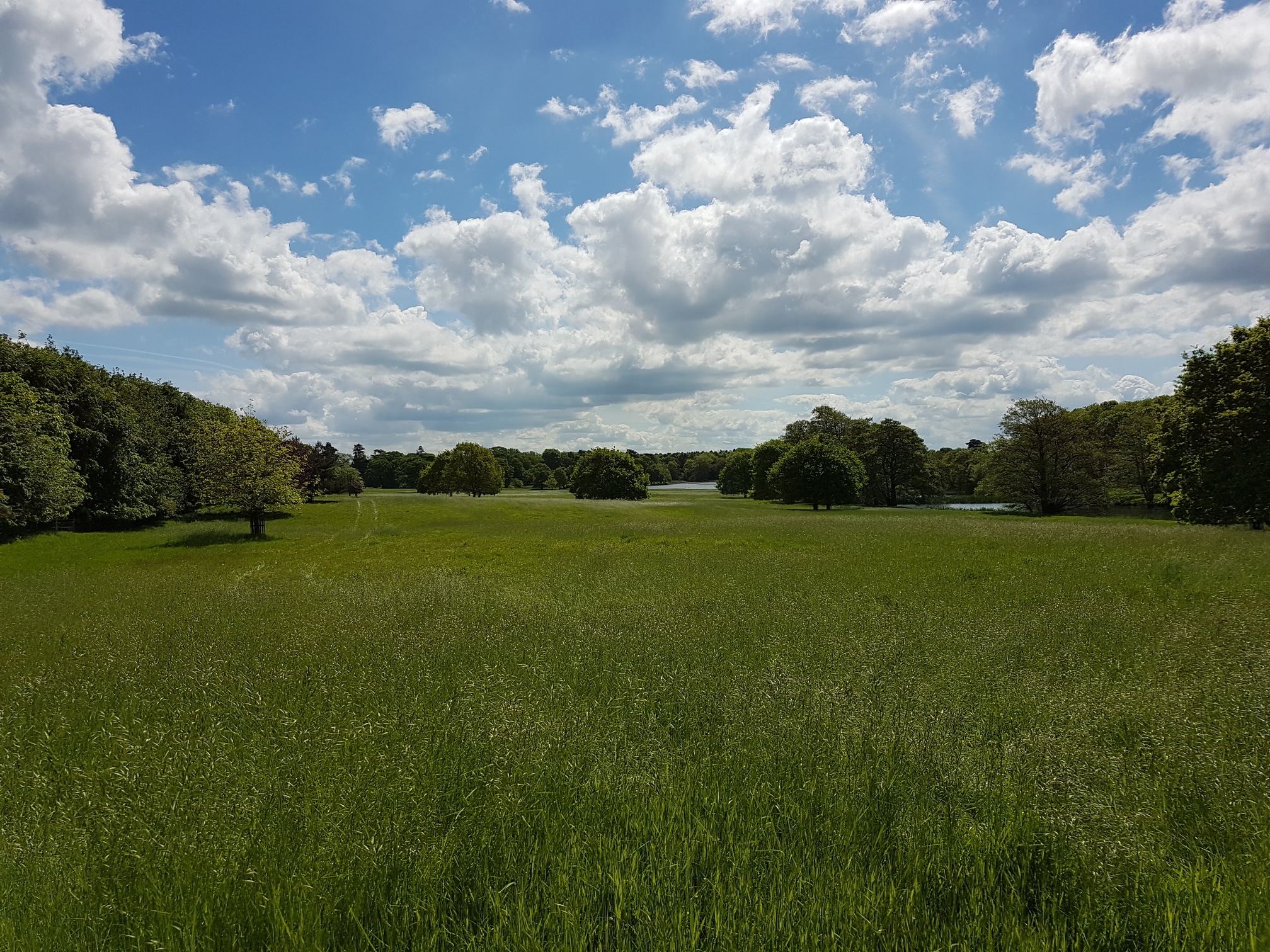 ecology survey essex