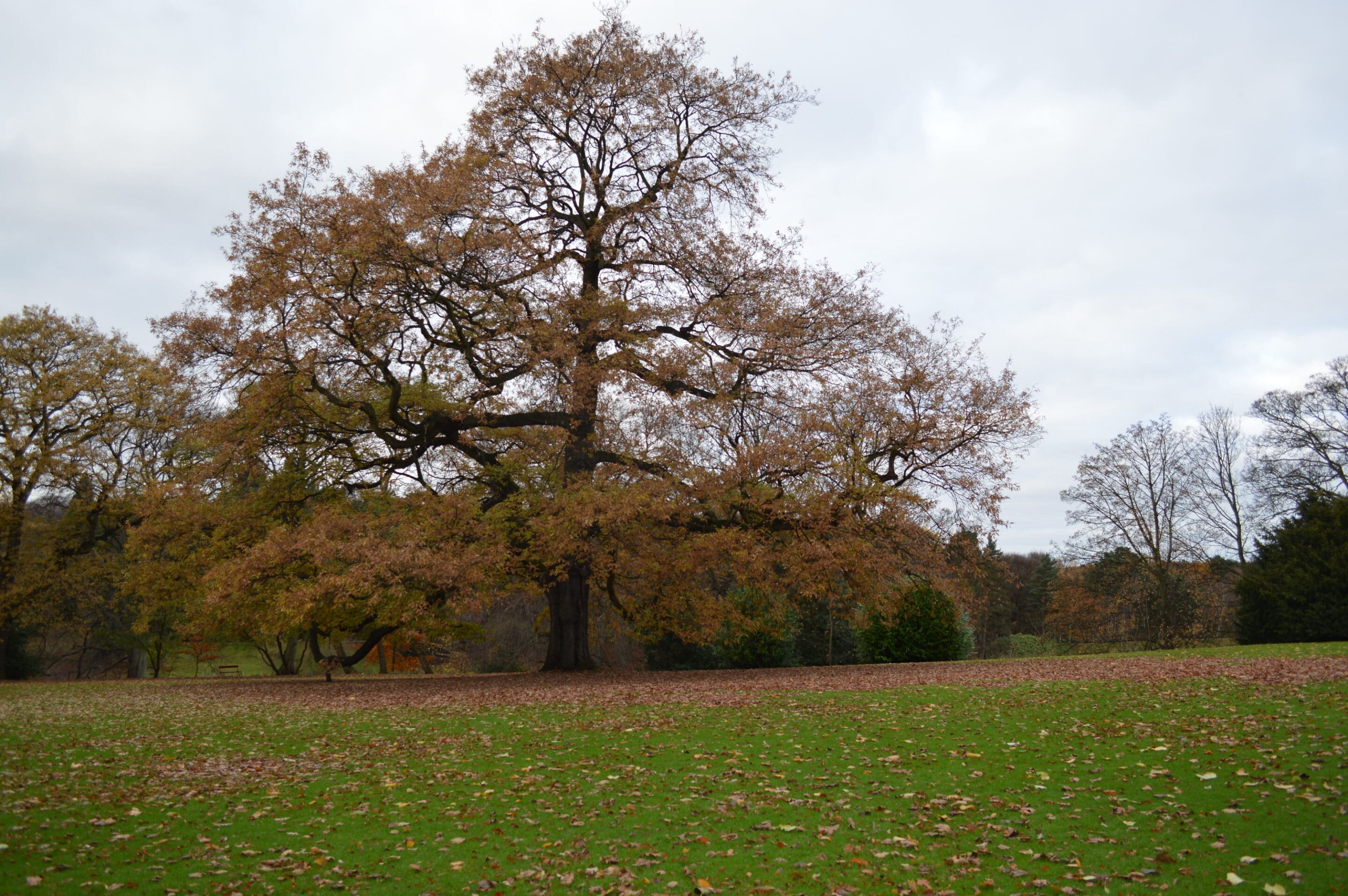 ecology survey bristol