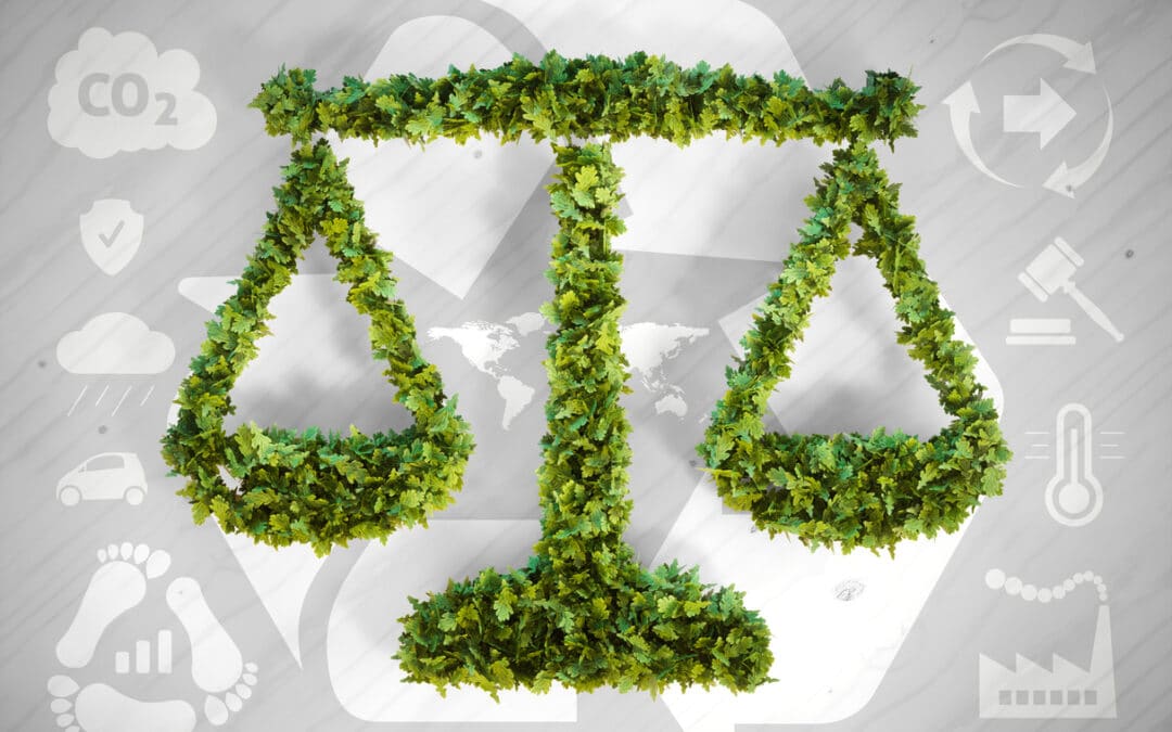 The Environment Act 2021 and Biodiversity Net Gain