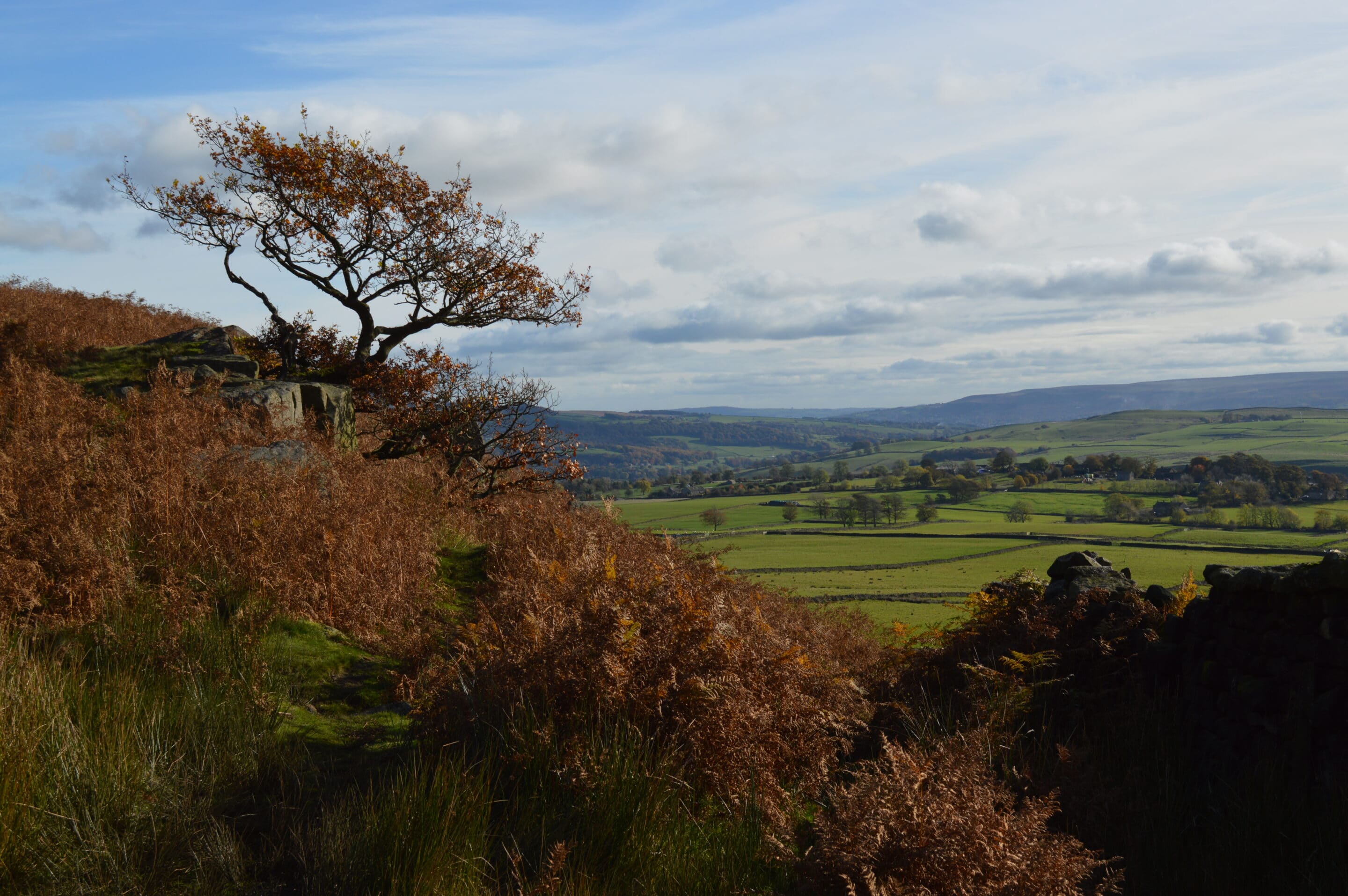 landscape character assessment