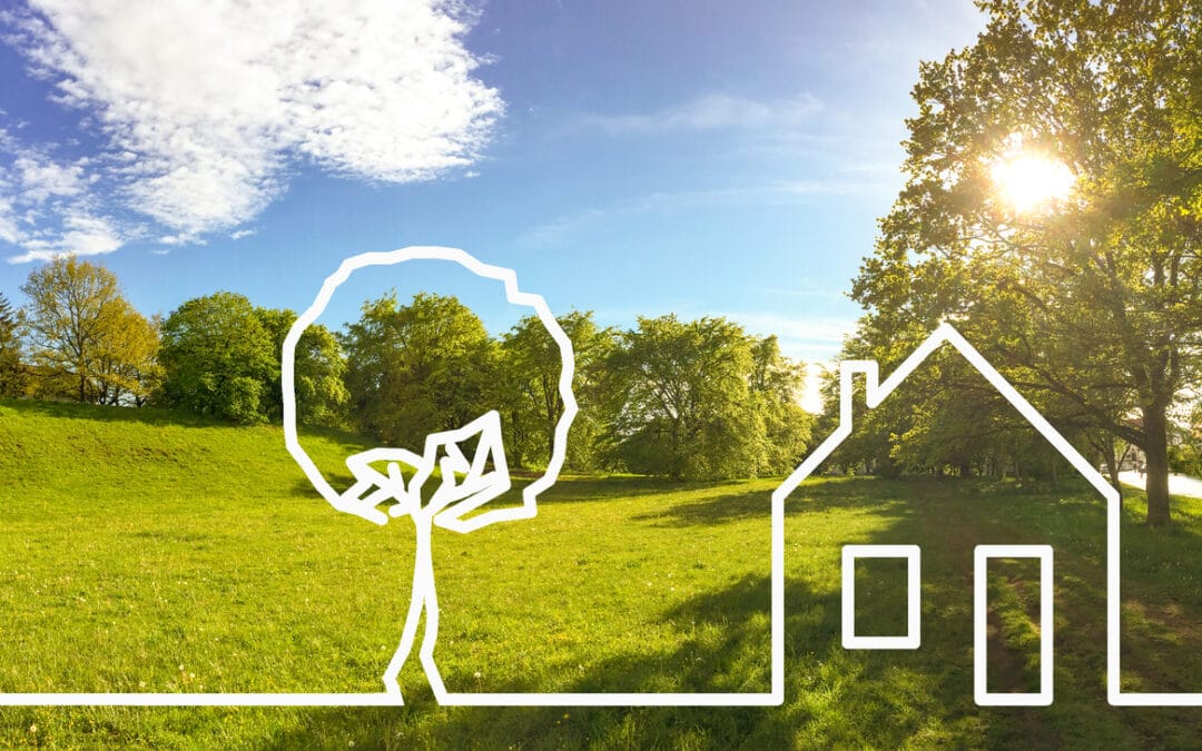 Residential Landscape Plan: Landscape Planning Services