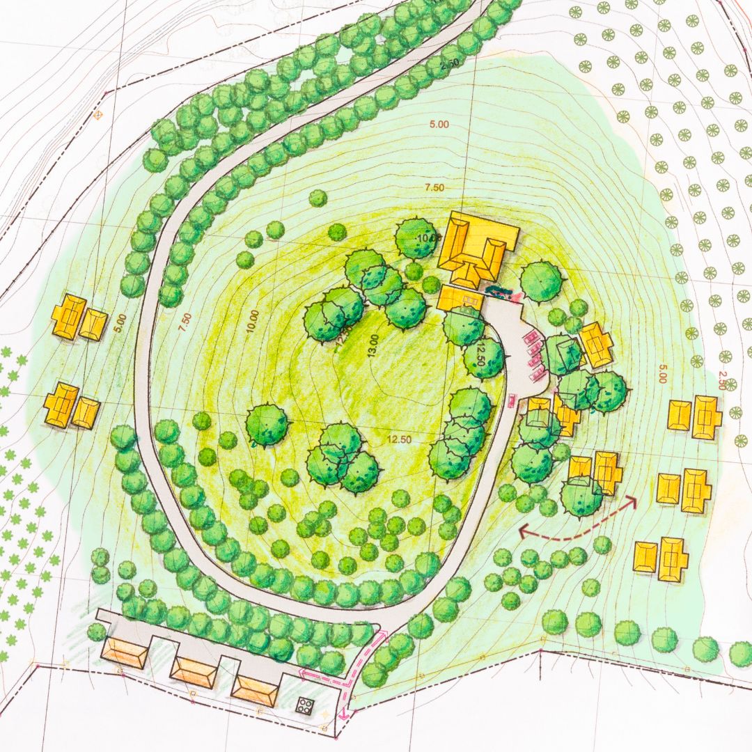 tree constraints plan