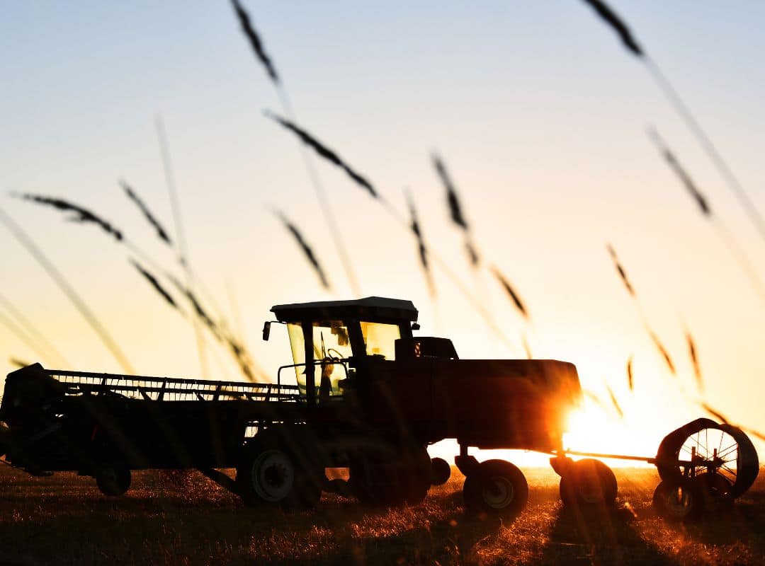 small-farm-income-ideas-uk-maximise-your-farming-business