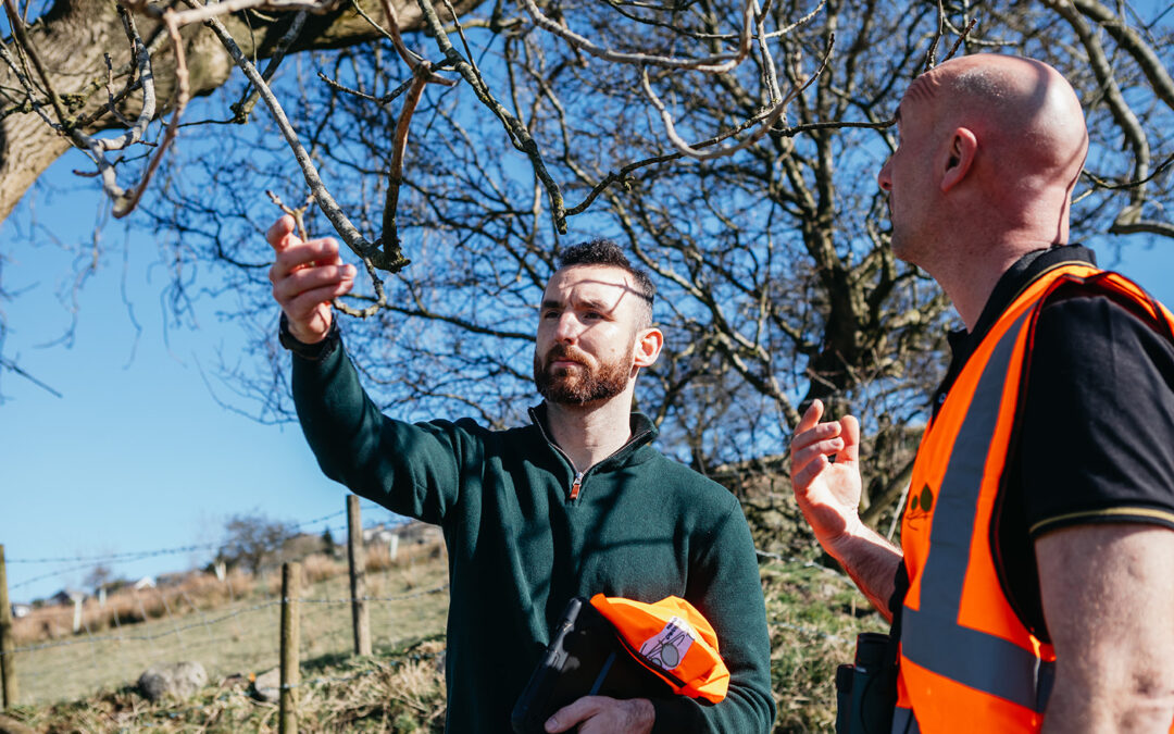 Supporting a Solar Development in Essex with Ecological Planning and Biodiversity Net Gain