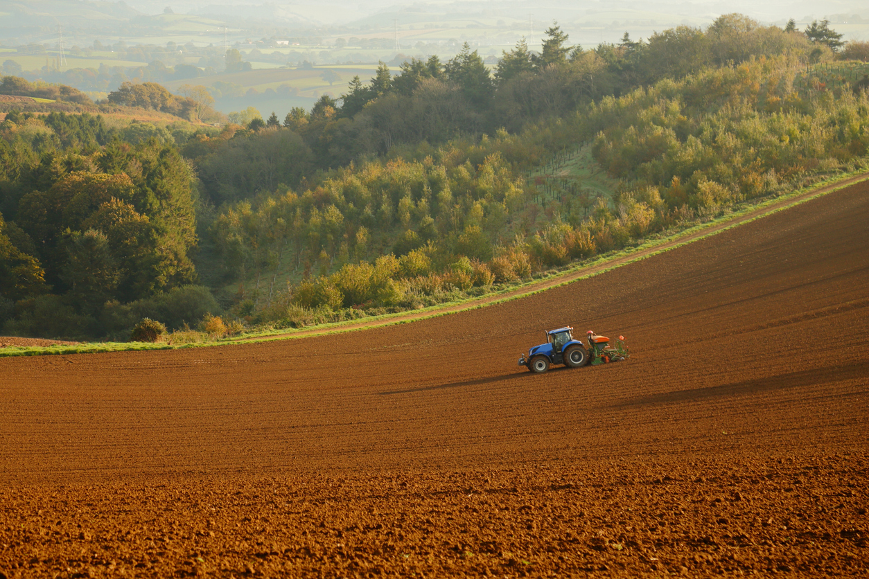 British Farming Subsidies - How Farmers Are Supported