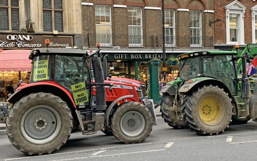 British Farming Subsidies – How Farmers Are Supported