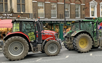 British Farming Subsidies – How Farmers Are Supported