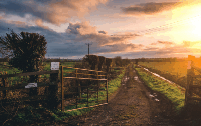 How To Improve Farming Efficiency – The BNG Advantage
