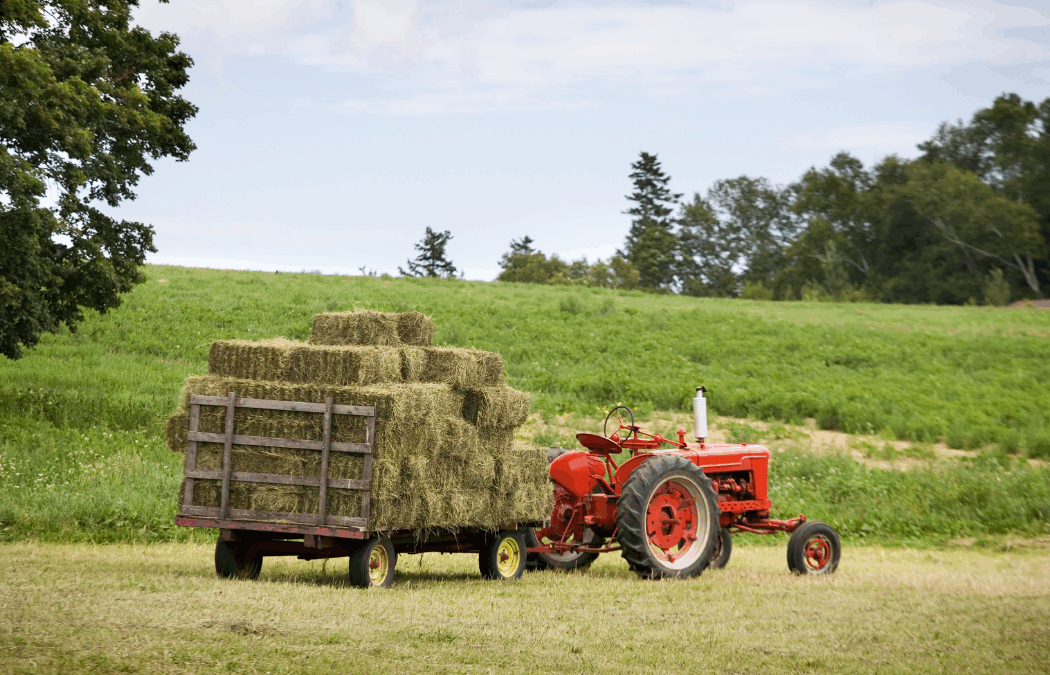 Legacy Farming: The Movement Towards Improved Biodiversity