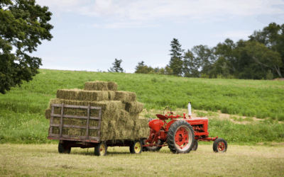 Legacy Farming: The Movement Towards Improved Biodiversity