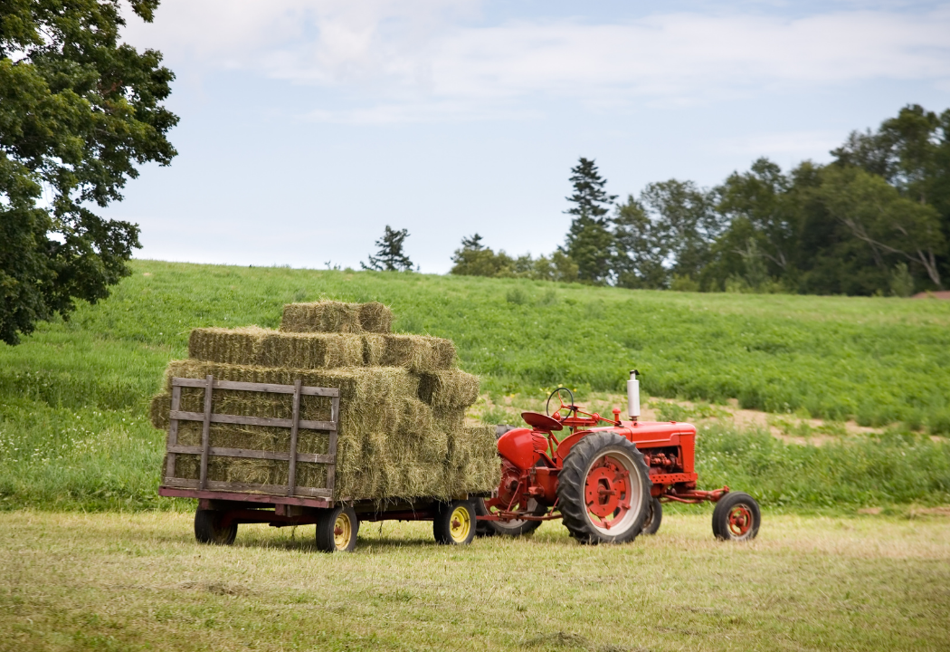 The Movement Towards Legacy Farming: Improving Biodiversity