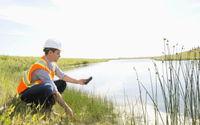 Extended Phase 1 Habitat Survey in Support of Planning Applications