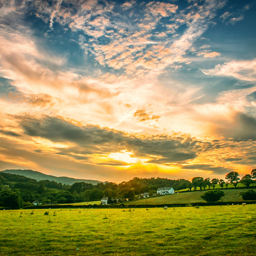 Smallholding Layout Smallholdings in Etwall: Opportunities for Diversification - Collington ...