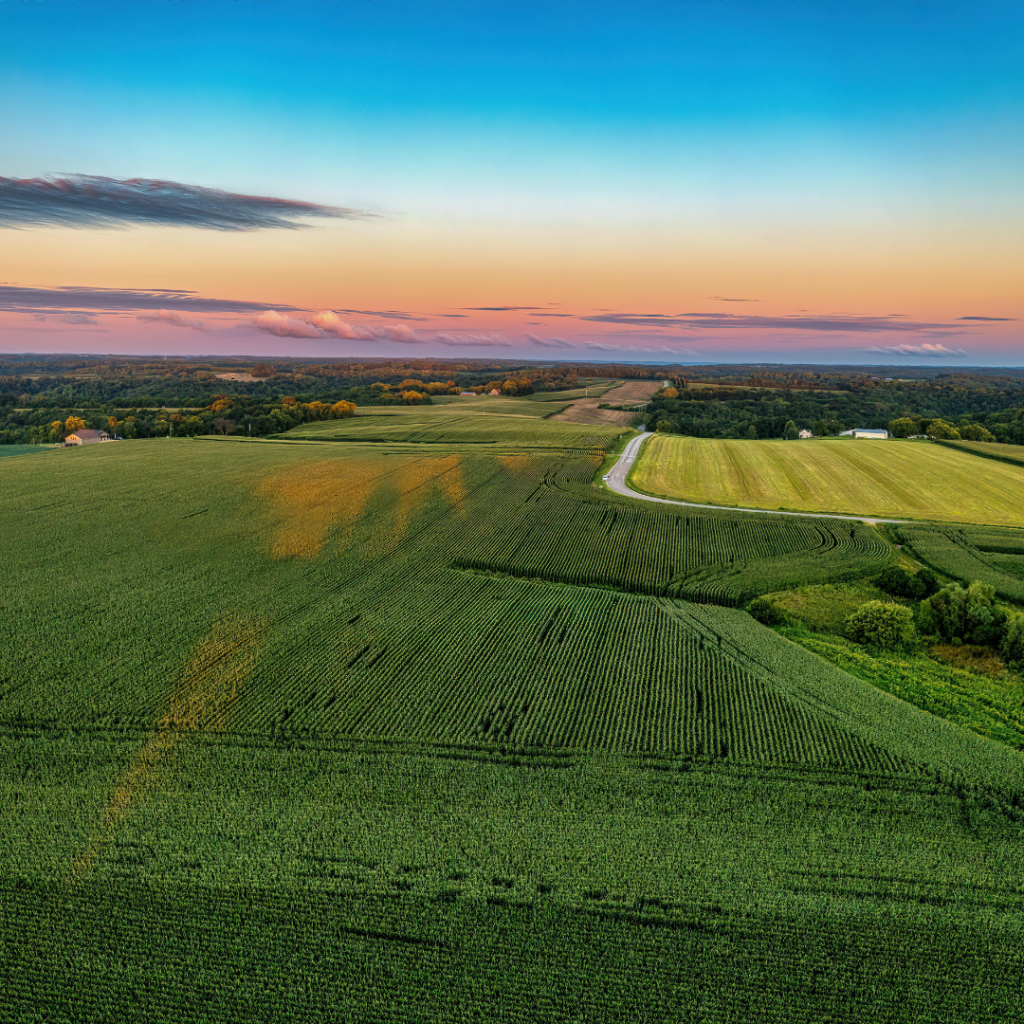 Land Agent in Chorley: Understanding BNG - Collington Winter