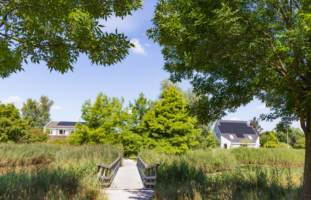 Biodiversity Net Gain Explained for Developers