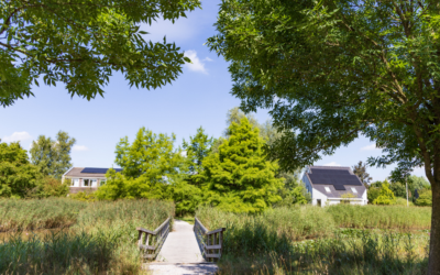 Biodiversity Net Gain Explained for Developers