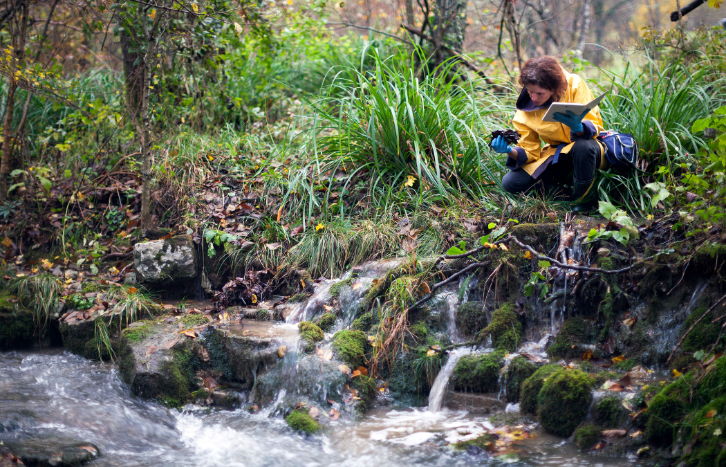 What is a Phase 1 Ecological Survey?