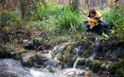 What is a Phase 1 Ecological Survey?