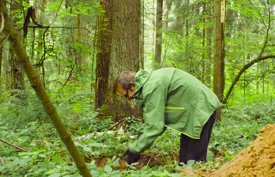 What is a Phase 2 Ecological Survey?