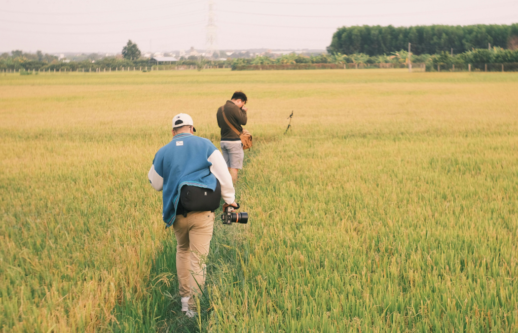 Why Do I Need an Ecological Survey for Planning Permission?