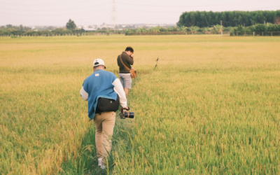 Why Do I Need an Ecological Survey for Planning Permission?