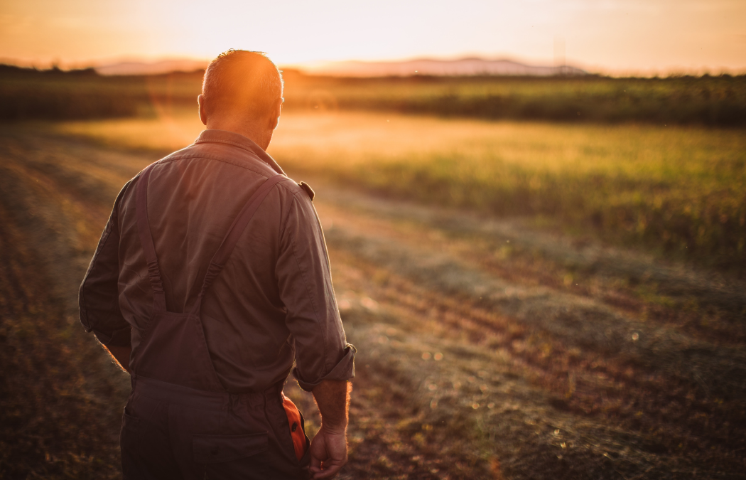 How Much Does an Ecological Survey Cost?