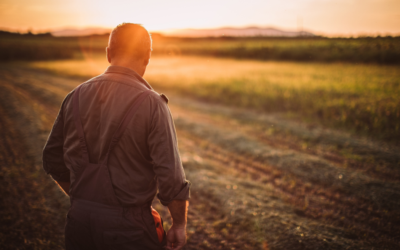 How Much Does an Ecological Survey Cost?