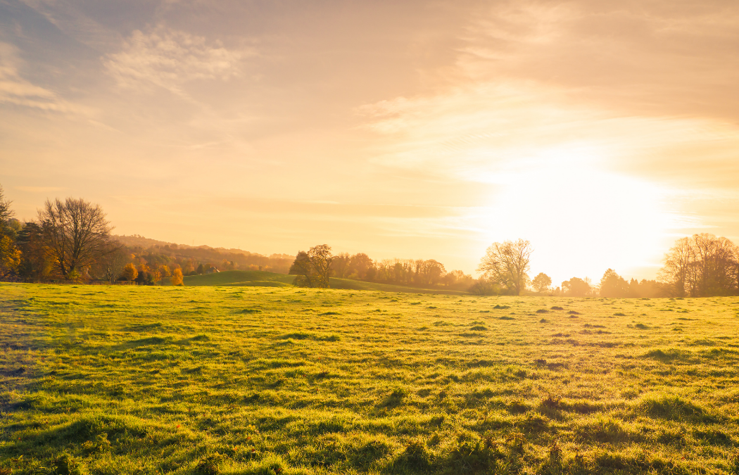 When is an Ecological Impact Assessment Required?