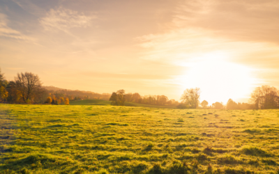 When is an Ecological Impact Assessment Required?