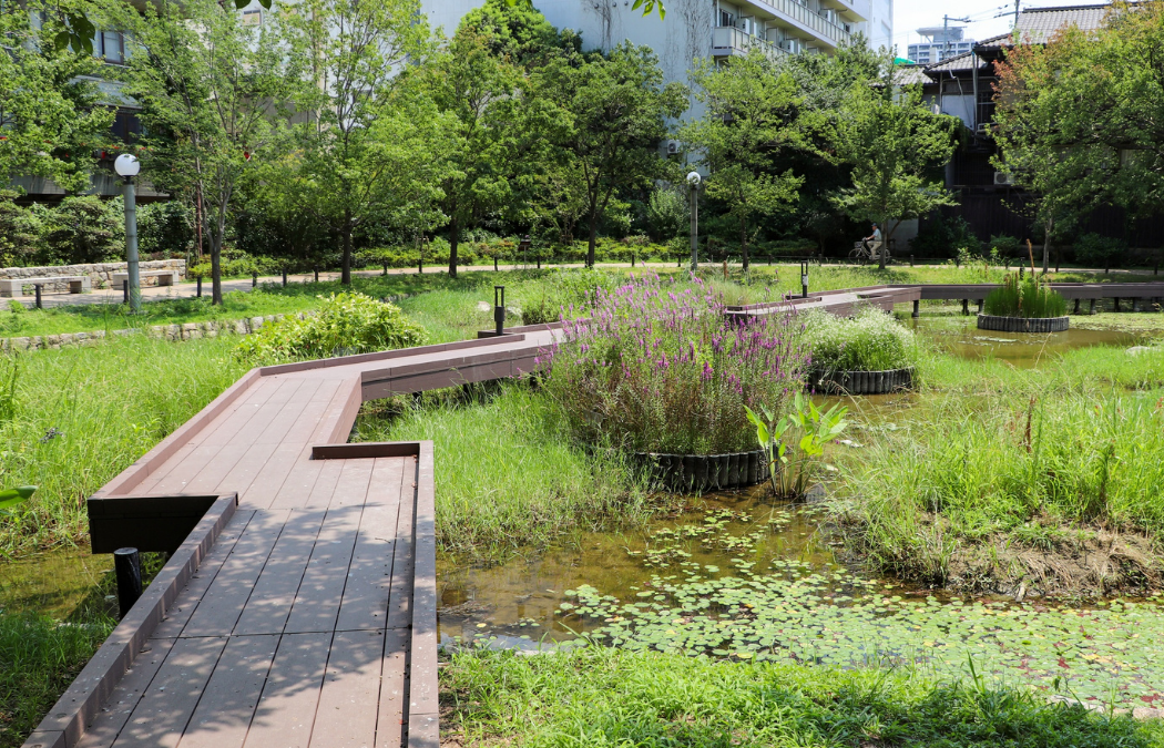 How Biodiversity Net Gain Can Boost Property Value