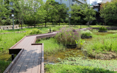 How Biodiversity Net Gain Can Boost Property Value