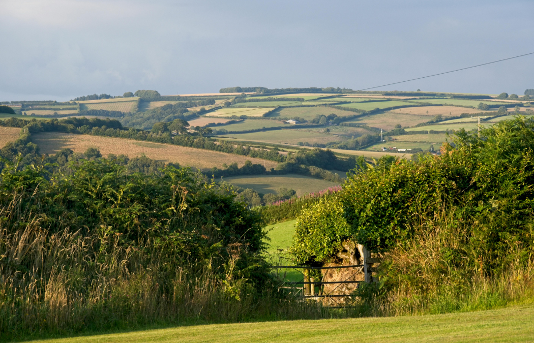 How to meet Biodiversity Net Gain Regulations UK
