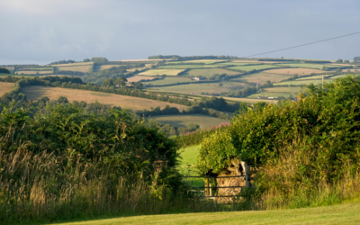 How to meet Biodiversity Net Gain Regulations UK