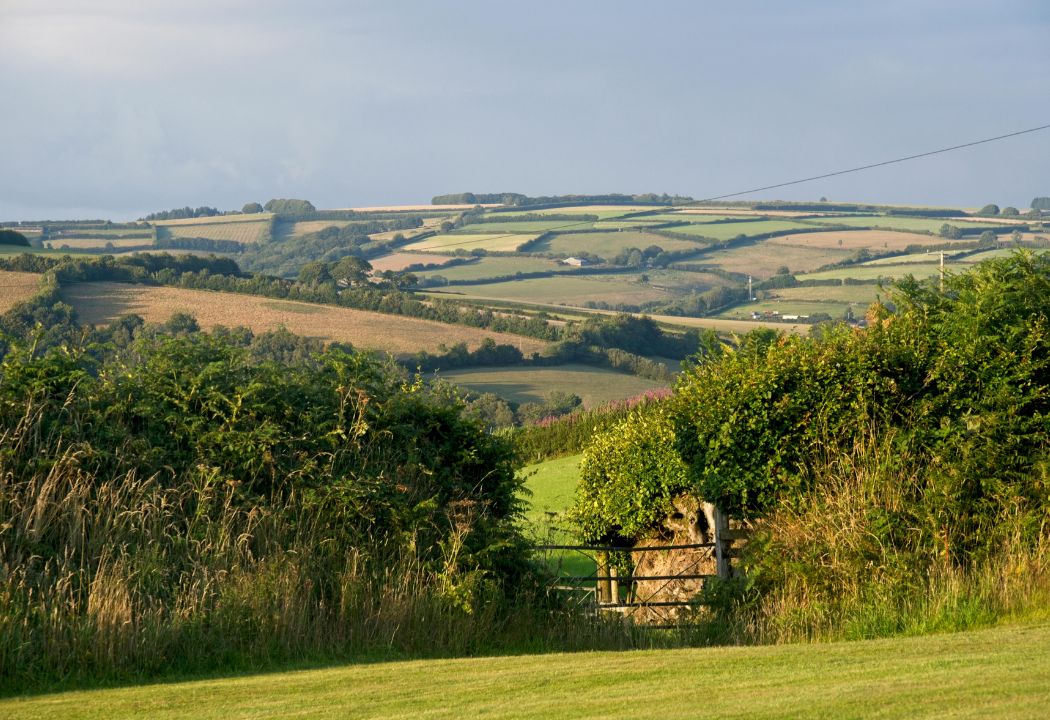 How to meet Biodiversity Net Gain Regulations UK