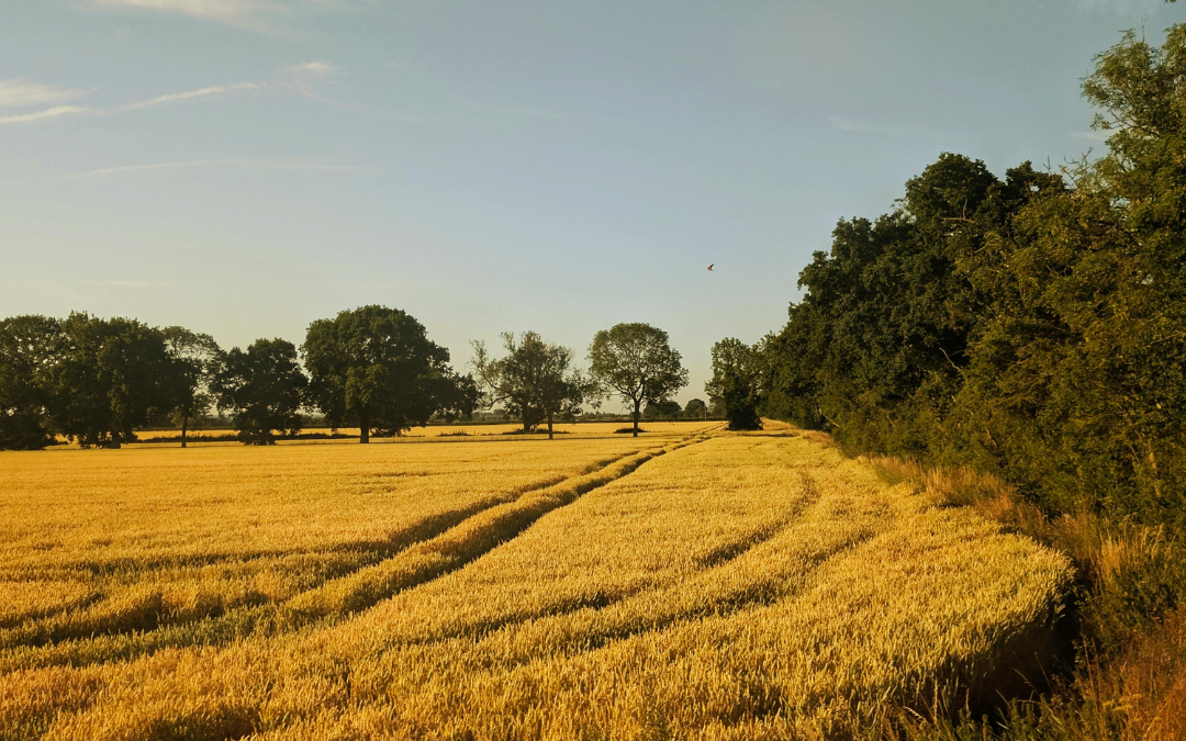 Planning for a Farm Succession