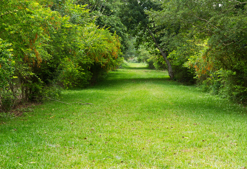 landscape planning