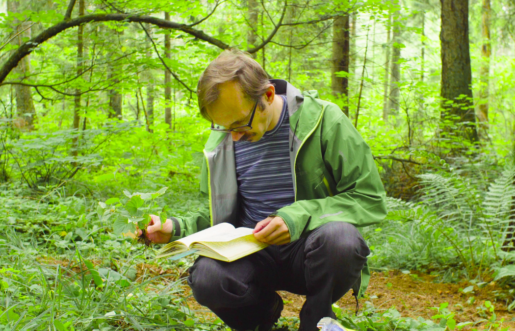 When Should Developers Commission a Preliminary Ecological Appraisal?