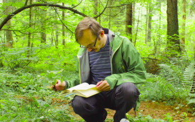 When Should Developers Commission a Preliminary Ecological Appraisal?