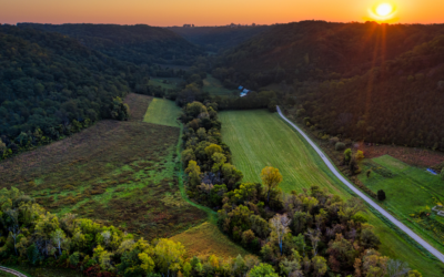 Can a Preliminary Ecological Appraisal Delay Planning?
